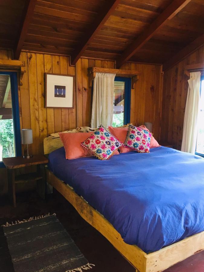 Hostel Raiz Pucon Exterior photo
